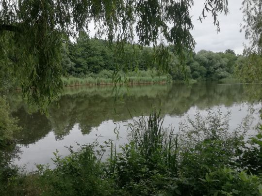 Flötenteich (Oldenburg)-3