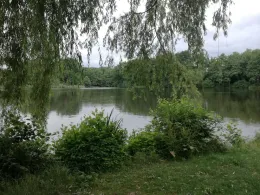 Flötenteich (Oldenburg)-4