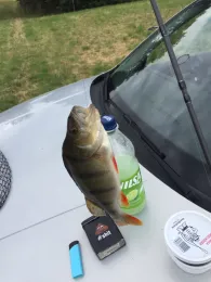 Basbecker Schleusenfleth