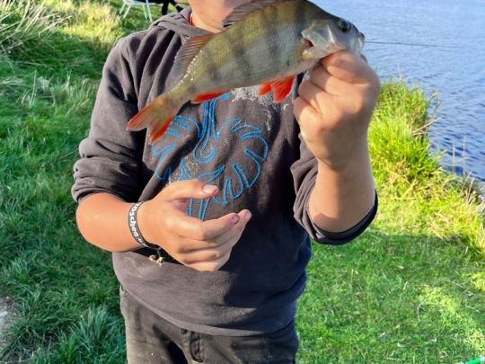 Eider (Hennstedt/Drage)-4