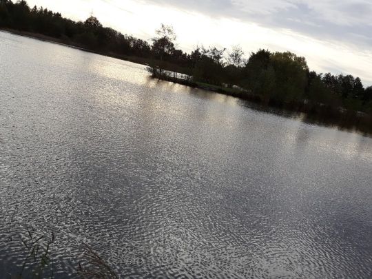 Bahnkolk (Neermoor)-3