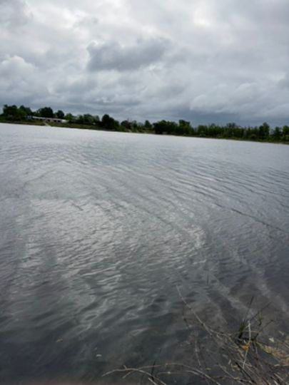 Salbker See II (Magdeburg)-2