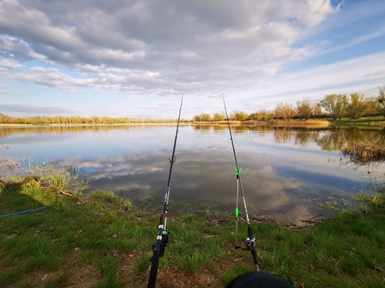 Salbker See II (Magdeburg)-1