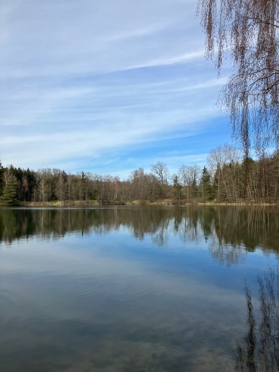 Unterer Ulich (Huisheim)