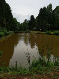 Vereinsteich am Kollert (Longuich)