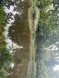 Zu den Sieben Weihern (Klarenthal)