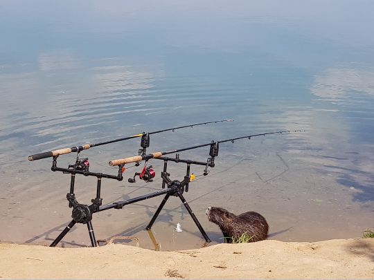 Kiesgrube Knobloch (Leuben)-3