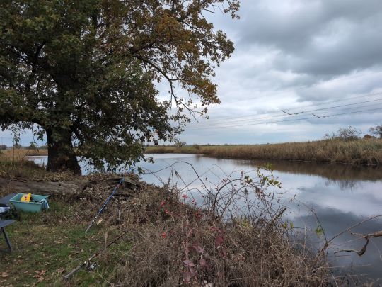 Schwarzes Wasser (Seegrehna)