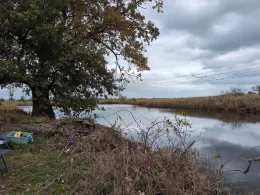 Schwarzes Wasser (Seegrehna)