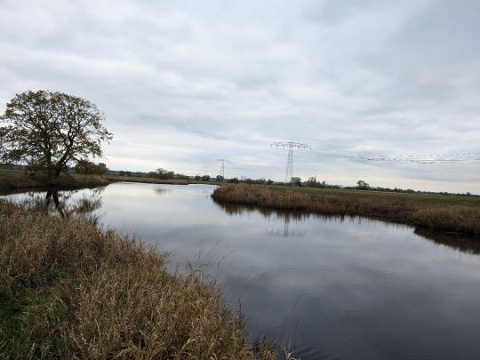 Schwarzes Wasser (Seegrehna)-2