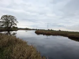 Schwarzes Wasser (Seegrehna)-2