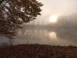 Sondernheimer Altrhein-3