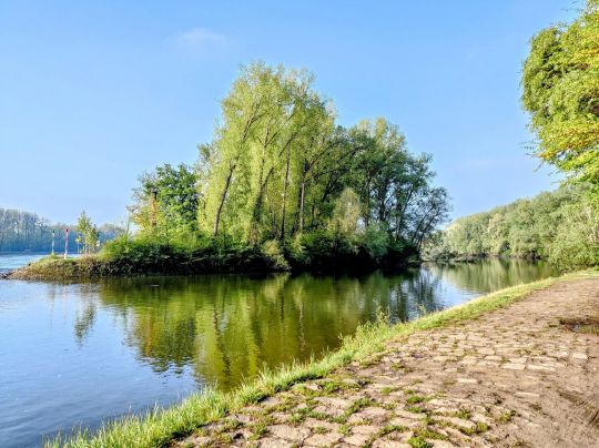 Sondernheimer Altrhein-1