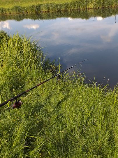 Südumfluter (Burg/Spreewald)-3