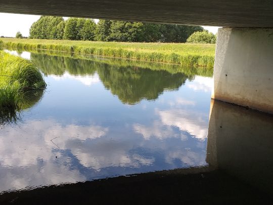 Südumfluter (Burg/Spreewald)-4