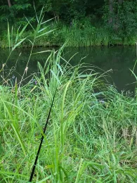 Südumfluter (Burg/Spreewald)-4