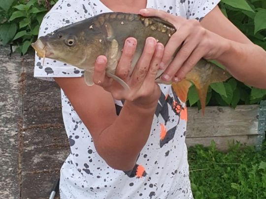 Angelteich Auerbach-2