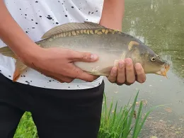 Angelteich Auerbach-1