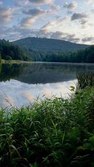 Vorsperre Eixendorf-4