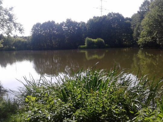 Stau Richterbusch angeln