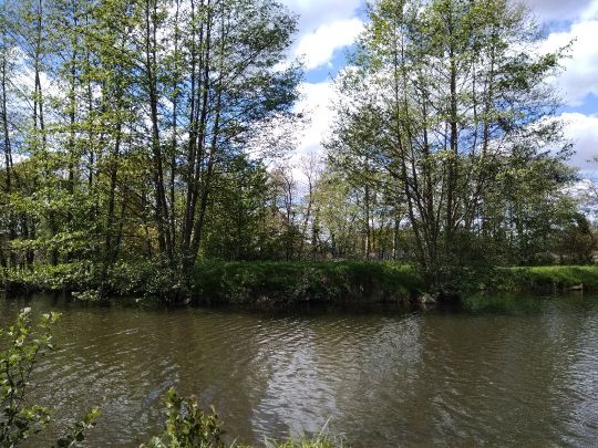 Sauensieker Teich-2