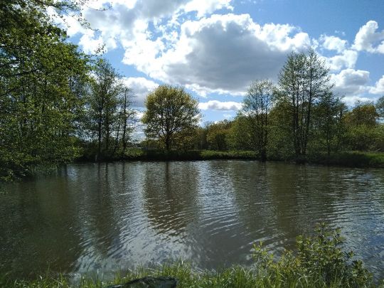 Sauensieker Teich-3
