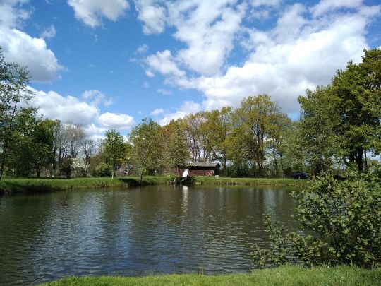 Sauensieker Teich-1