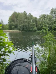 Wurzelteich (Haidemühl)-2