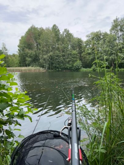 Wurzelteich (Haidemühl)-1