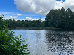 Wurzelteich (Haidemühl)