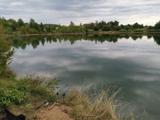 Goldaxer See-1