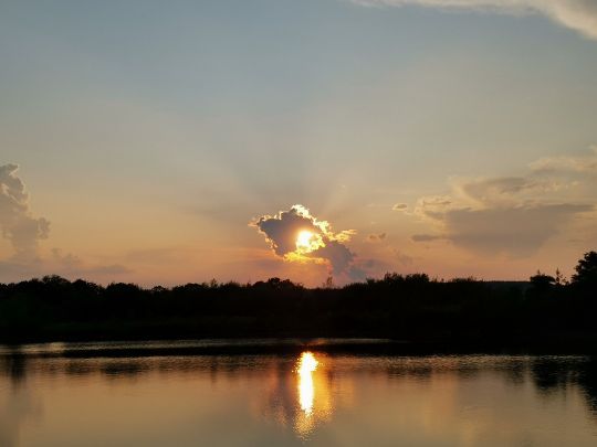 Goldaxer See-2
