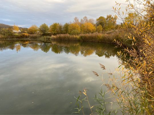 Goldaxer See