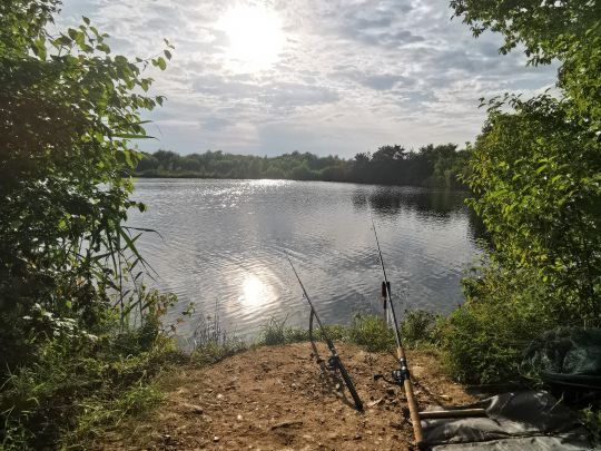 Goldaxer See-3
