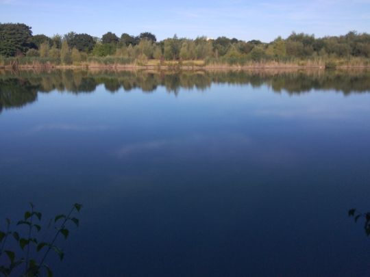 Goldaxer See-4