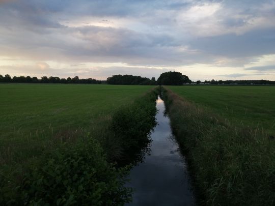 Forellenbach (Bokel)