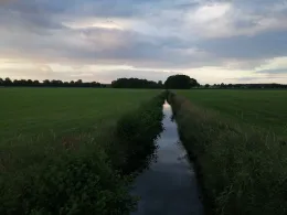 Forellenbach (Bokel)