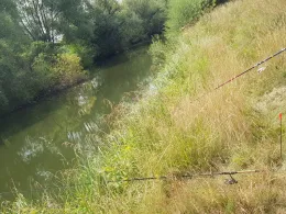 Holzenteich (Müden)