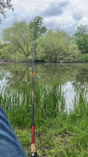 Holzenteich (Müden)-2