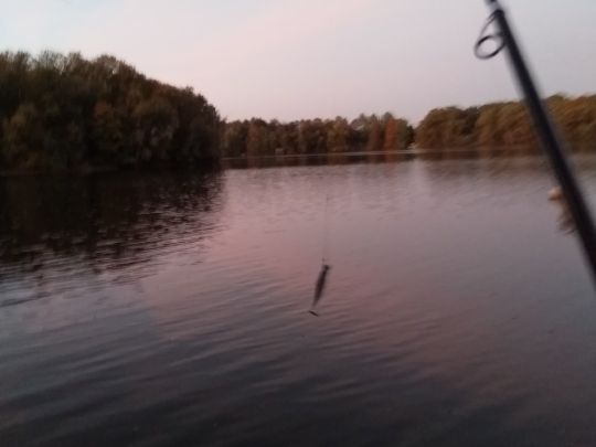 Neuer Nierssee (Viersen)-1