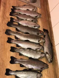 Forellenteich Bavendorf-1