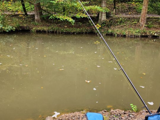 Angelteiche Hück Leimbach-1