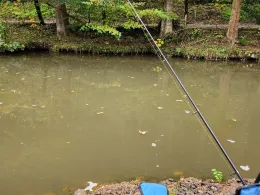 Angelteiche Hück Leimbach-1