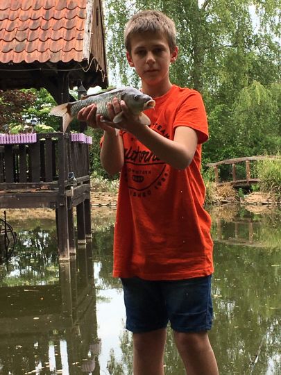 Regenrückhaltebecken Melle-2