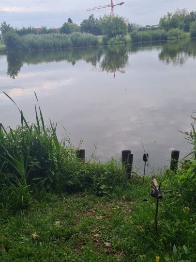 Regenrückhaltebecken Melle-4