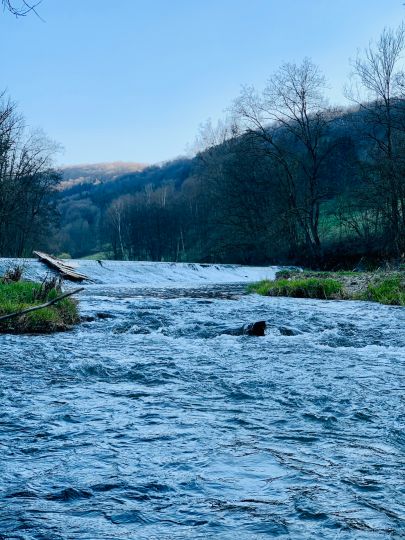 Kocher (Kocherstetten)-2