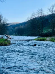 Kocher (Kocherstetten)-2