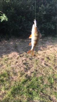 Lesum (Bremen-Grohn)