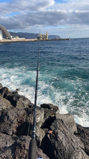 Teneriffa-2