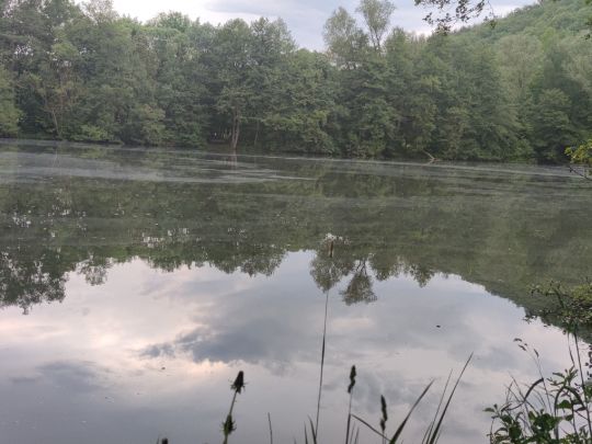 Amalienhütter Weiher-1